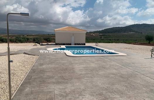  - Villa - Pinoso - Camino Del Prado