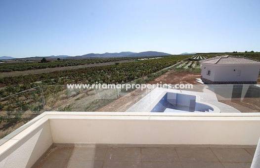  - Villa - Pinoso - Camino Del Prado
