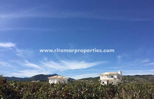  - Villa - Pinoso - Camino Del Prado