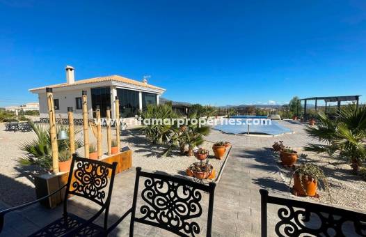  - Villa - Pinoso - Camino Del Prado