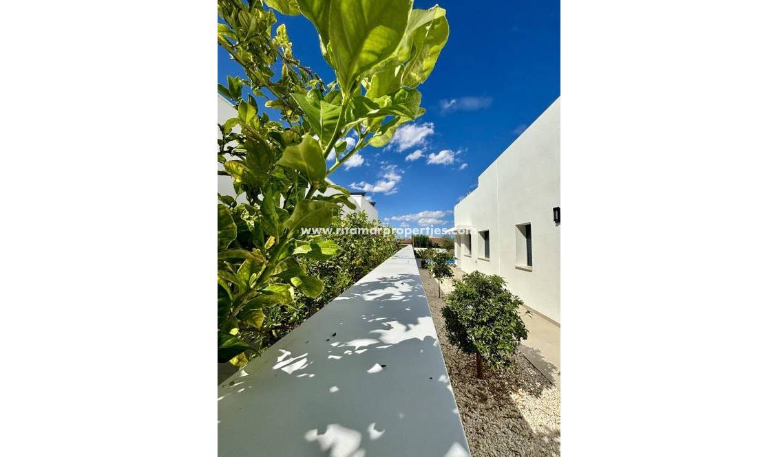  - Villa - Benijófar - Pueblo
