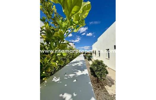  - Villa - Benijófar - Pueblo
