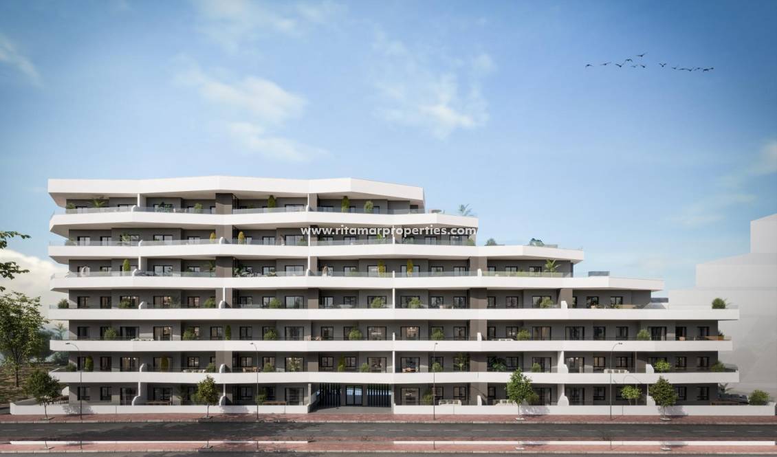  - Apartamento - San Miguel de Salinas - Pueblo