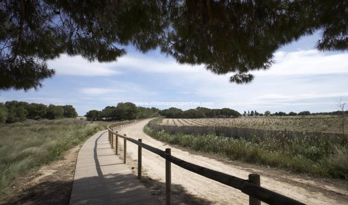  - Villa - Torrevieja - Sector 25