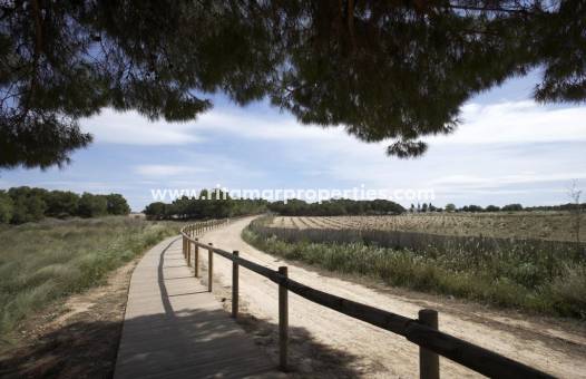  - Villa - Torrevieja - Sector 25