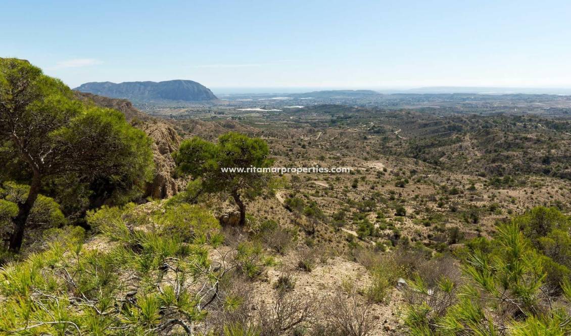  - Villa - Aspe - Centro