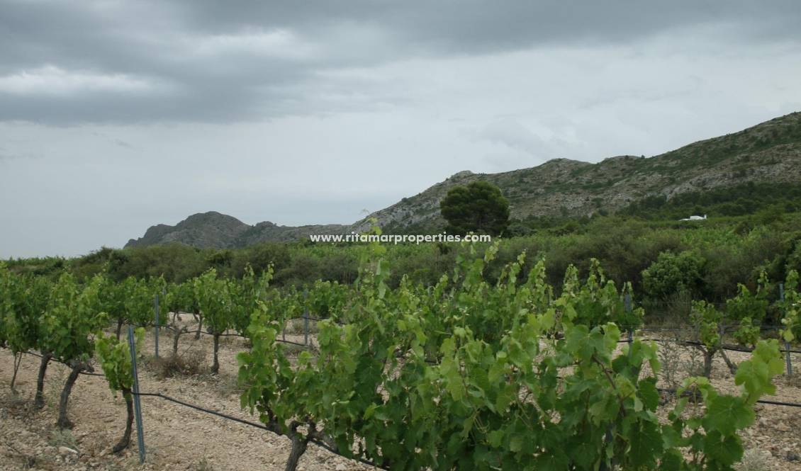  - Villa - Yecla