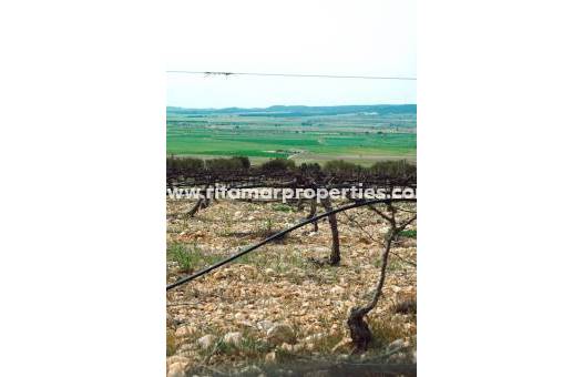  - Villa - Yecla