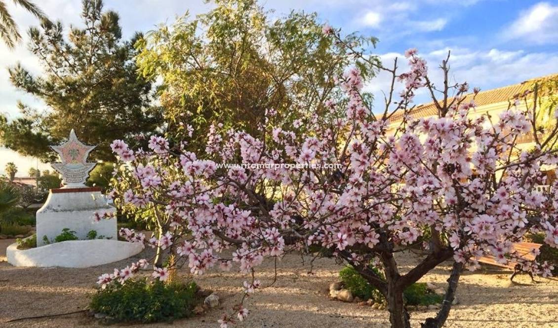  - Villa - Los Urrutias - Estrella De Mar