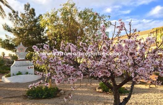  - Villa - Los Urrutias - Estrella De Mar
