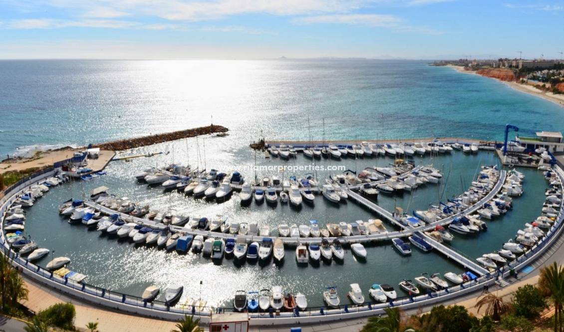 Neubau - Villa - Orihuela Costa - Campoamor