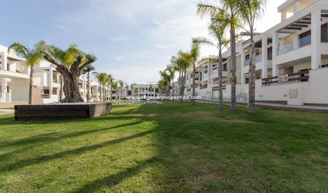 Obra Nueva - Bungalow - Torrevieja - Los Balcones