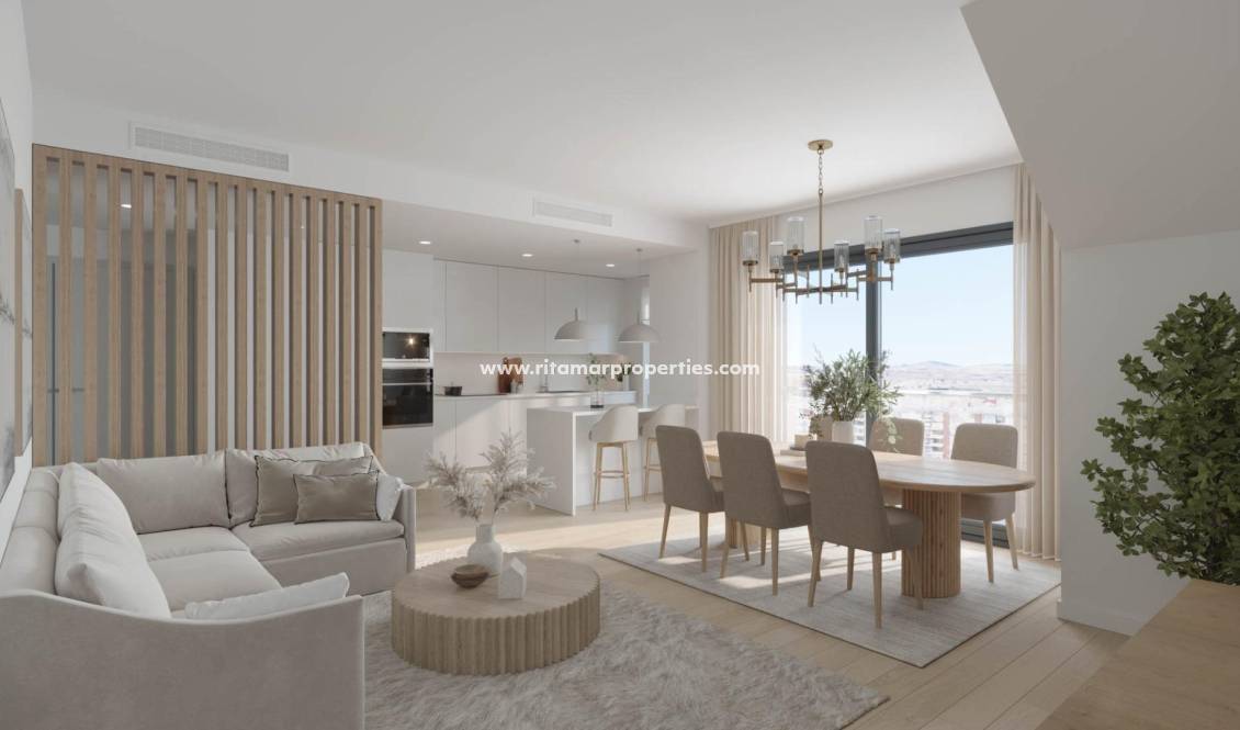  - Penthouse - Alicante - San Agustín-PAU 2