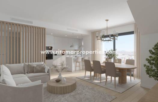  - Penthouse - Alicante - San Agustín-PAU 2