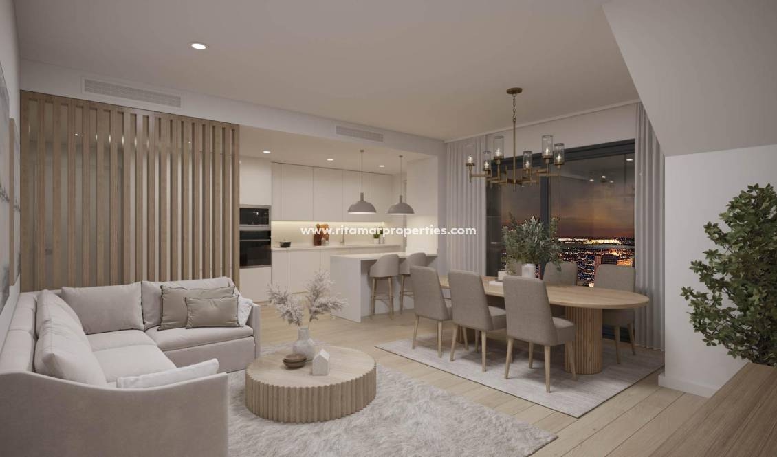 - Penthouse - Alicante - San Agustín-PAU 2