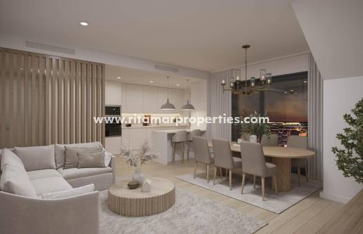  - Penthouse - Alicante - San Agustín-PAU 2
