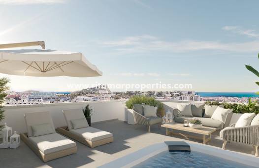 Penthouse -  - Alicante - San Agustín-PAU 2