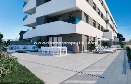 Apartment -  - San Juan Alicante - Franc Espinós