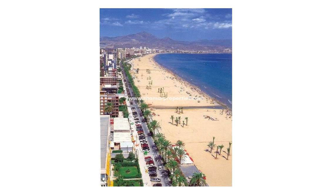  - Apartment - San Juan Alicante - Franc Espinós