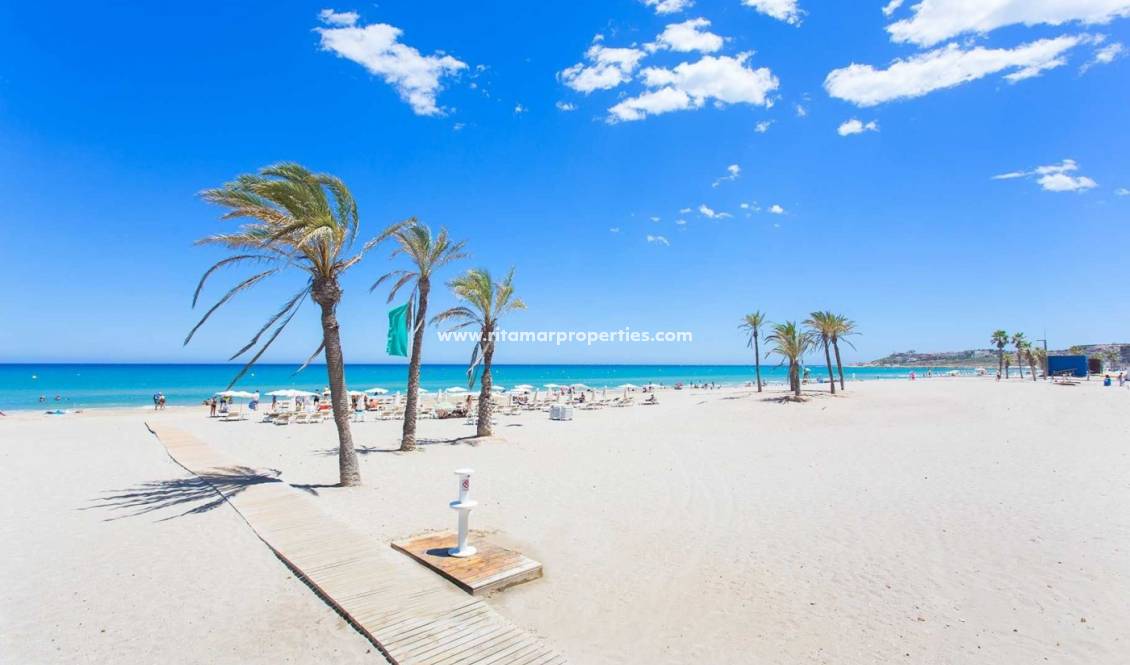  - Apartment - San Juan Alicante - Franc Espinós
