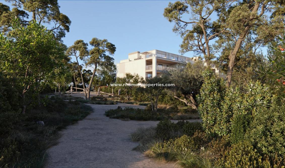  - Penthouse - Godella - Campolivar