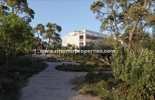  - Penthouse - Godella - Campolivar
