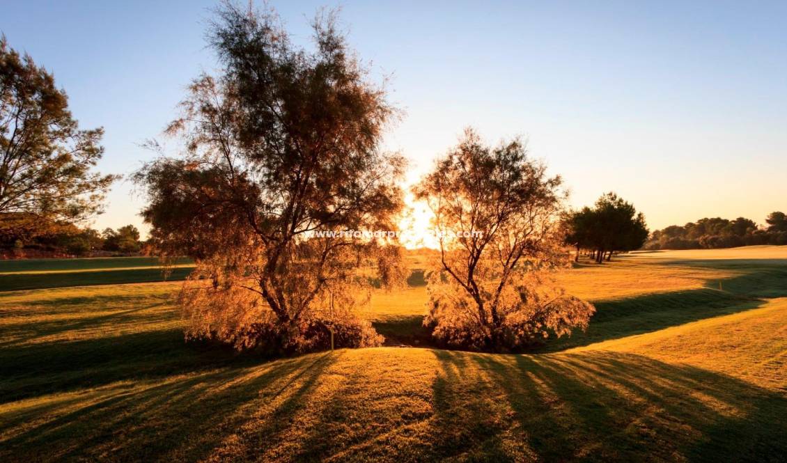  - Villa - Pilar de la Horadada - Lo Romero Golf