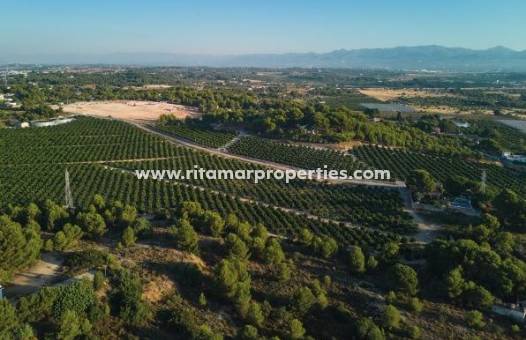  - Villa - Godella - Campolivar