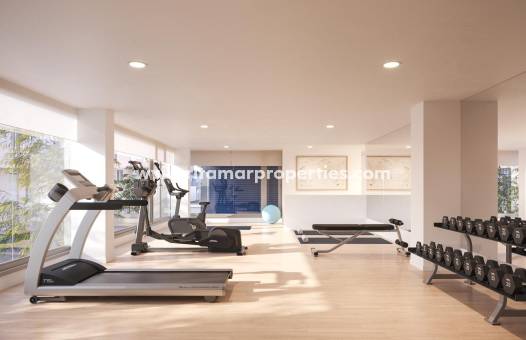  - Appartment - Alicante - Benalua