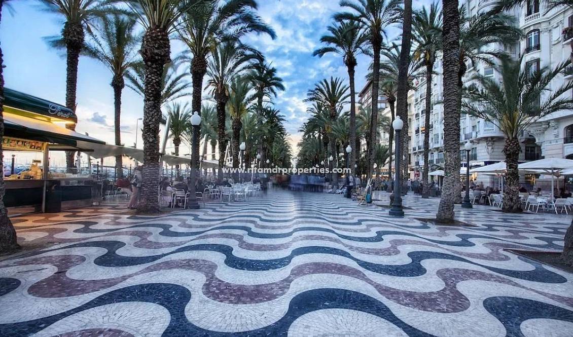  - Appartment - Alicante - Benalua