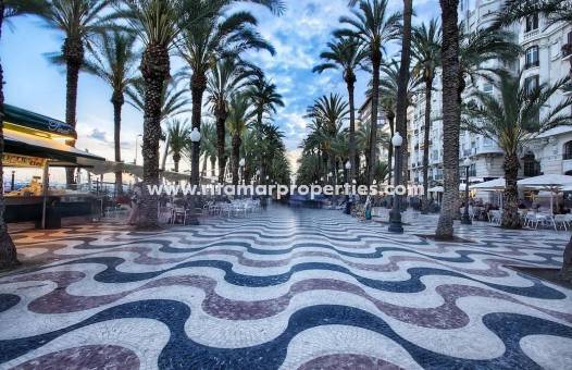  - Appartment - Alicante - Benalua