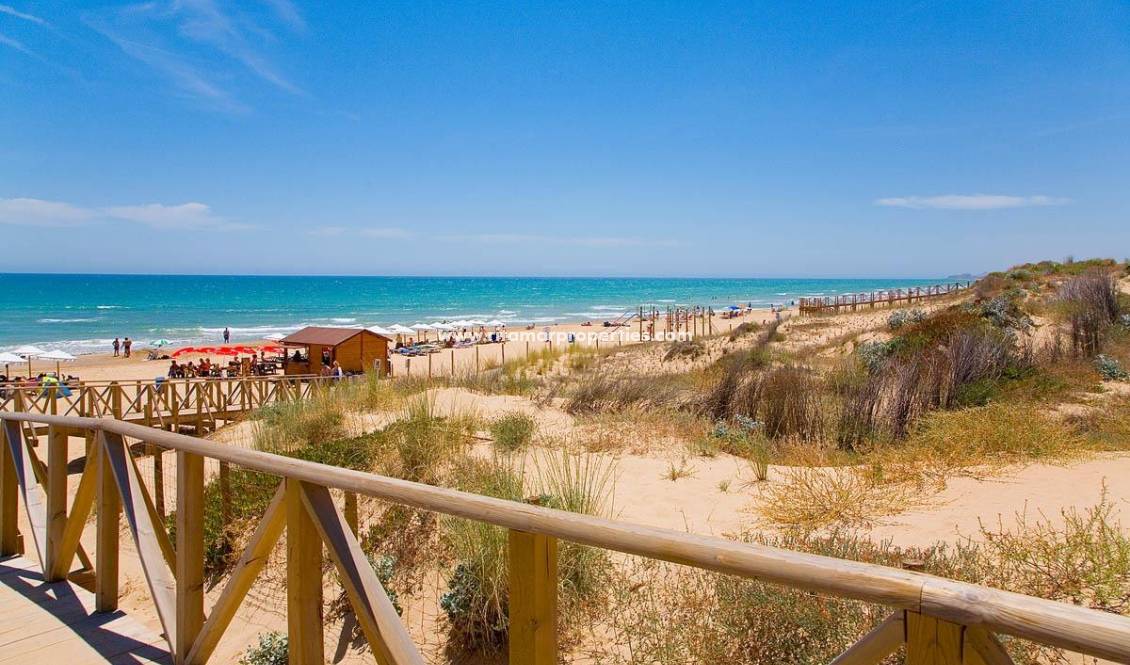  - Apartamento - Guardamar del Segura - Pueblo