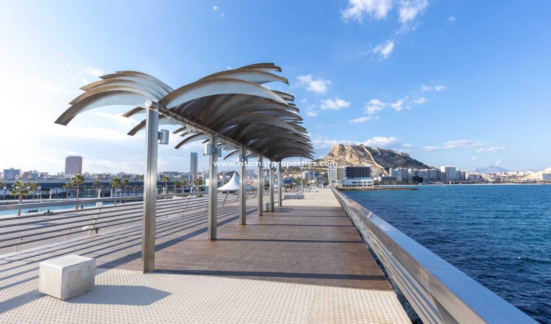  - Appartment - Alicante - Centro