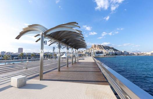  - Appartment - Alicante - Centro