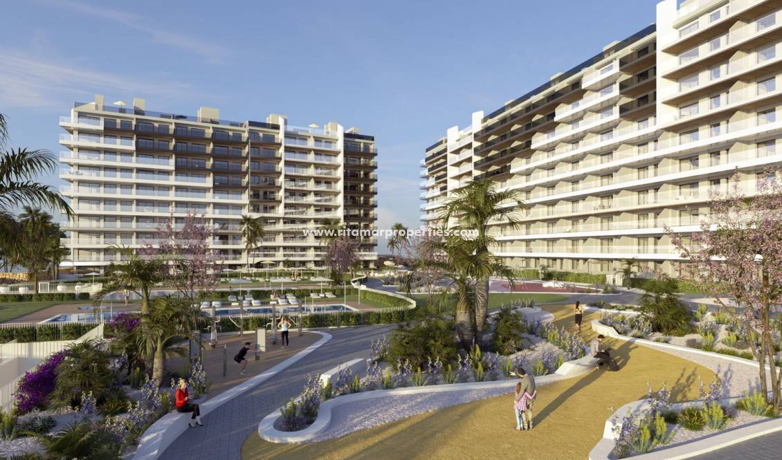  - Apartment - Torrevieja - Punta Prima