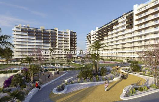 Wohnung -  - Torrevieja - Punta Prima