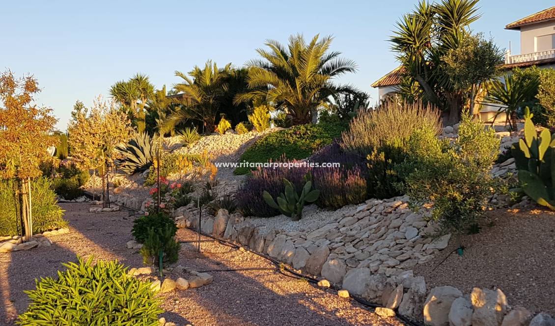 Wederverkoop - Villa - Pinoso