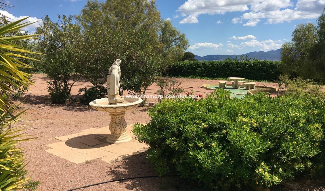 Reventa - Villa - Pinoso