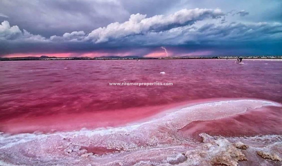 Neubau - Wohnung - Torrevieja - Centro