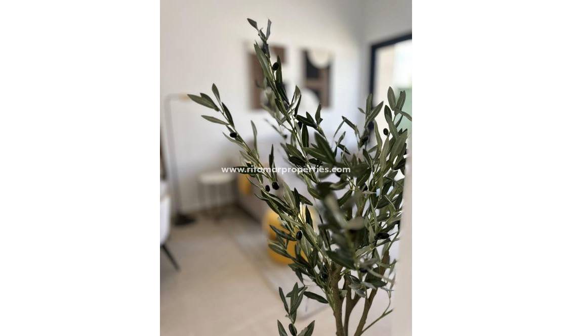 Neubau - Bungalow - San Fulgencio - Pueblo