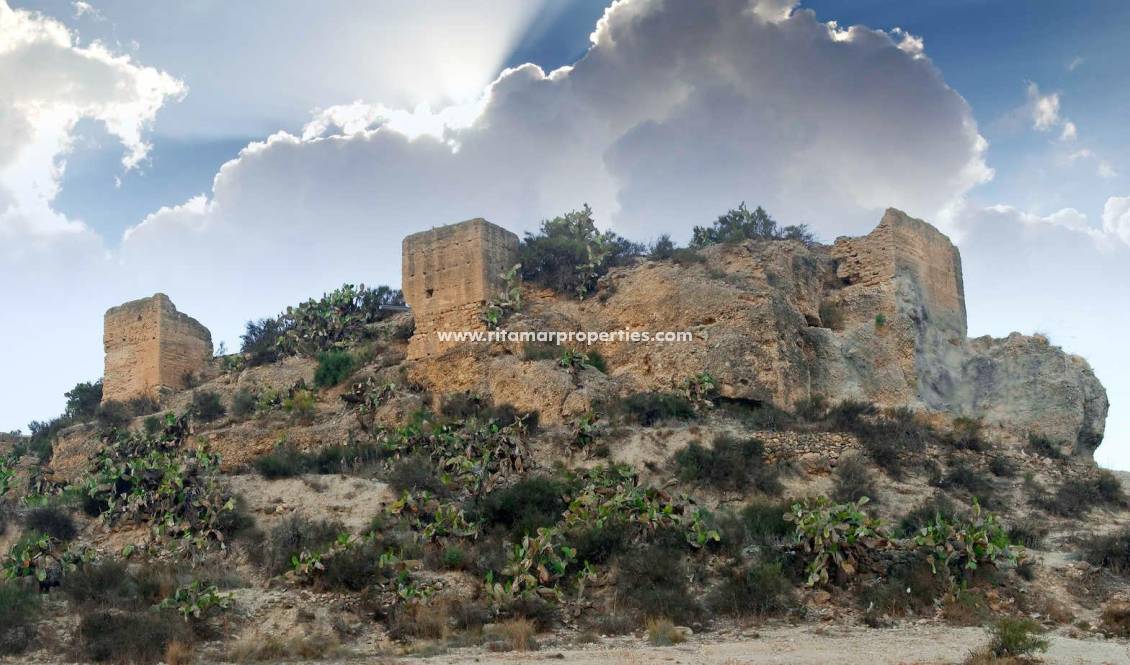 Neubau - Villa - Aspe - Centro