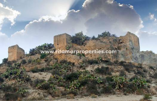 Neubau - Villa - Aspe - Centro