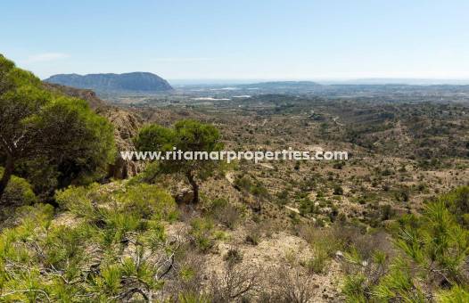 Neubau - Villa - Aspe - Centro