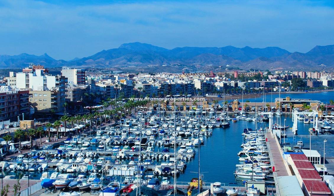 New build - Villa - Fuente Álamo - La Pinilla