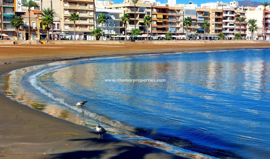 Obra Nueva - Bungalow - Fuente Álamo - La Pinilla
