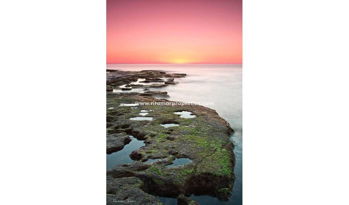 Neubau - Bungalow - Torrevieja - Altos del Sol