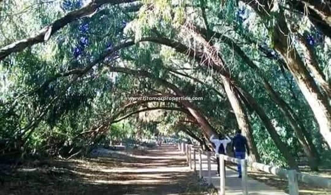 Neubau - Bungalow - Torrevieja - Altos del Sol