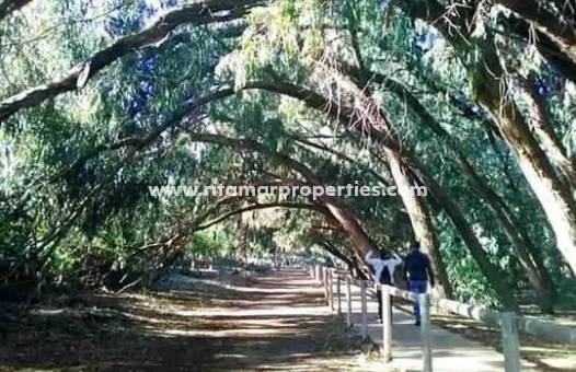 Neubau - Bungalow - Torrevieja - Altos del Sol