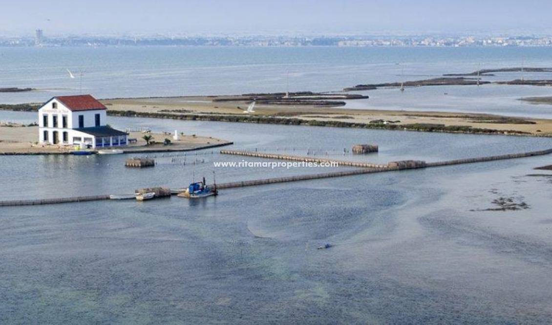 Neubau - Villa - San Pedro del Pinatar - Centro