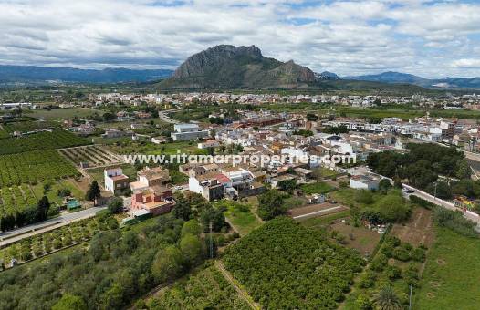 Neubau - Villa - Els Poblets - Partida Barranquets
